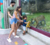  Zoo/Aquarium